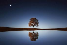 The return of light, heat…. 20 000 Best Reflection Photos 100 Free Download Pexels Stock Photos