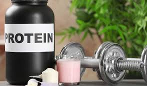 protein shakes make you gain weight