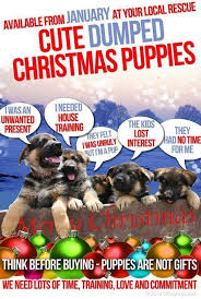 Celebrate the season with adorable pups donning santa hats. Please Don T Buy Puppies For Christmas Dog Project Elephant Nature Park