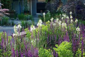 Nigel Dunnett Nigeldunnett Twitter Cottage Garden Dream Garden Garden Design