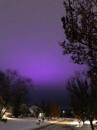 How to grow purple giant hyssop. Ask Ellen What S That Purple Glow In The Sky