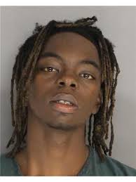 Police arrest third teen in connection with Pace's Run murder