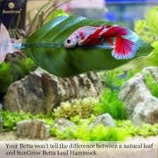 They like hiding under it, give them a feeling. Diy Betta Hammock
