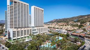 Image result for Melia