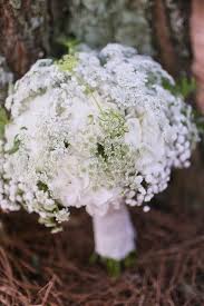 Maybe you would like to learn more about one of these? Kato Floral Designs Usa Savannah Flowers