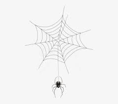 1 of 1412 3 410 » »last. Free Png Download Spider And Web Transparent Png Images Spider Web Transparent Background 480x652 Png Download Pngkit