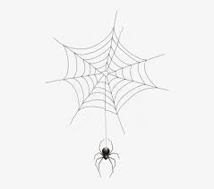 Free Png Download Spider And Web Transparent Png Images Spider Web Transparent Background 480x652 Png Download Pngkit Glass window, broken glass effect, closeup of broken glass free png. free png download spider and web