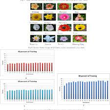 The arrangement of flowers on the floral axis is termed as inflorescence. Pdf Classification Of Flowers A Symbolic Approach Y H Semantic Scholar