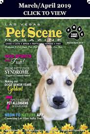 Create your own ad in las vegas free pets to good home. Las Vegas Pet Scene Magazine March April 2019 Pet Event Pets Sporting Dogs
