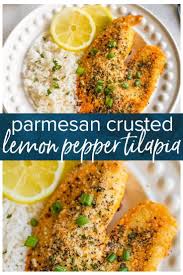 Parmesan Crusted Tilapia Baked Lemon Pepper Tilapia Is The One Of The Best Tilapia Recipes We Ha Tilapia Recipes Easy Talapia Recipes Tilapia Recipes Healthy