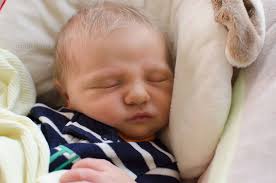 Randi Boyd Photography