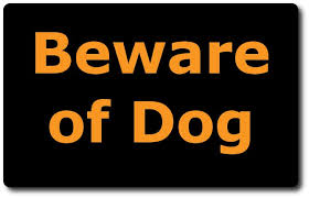 We'll walk you through the entire process, from picking out which fencing layout best suits your property and needs, to training your pet to the. Protect Your Dog At The Lake Home With An Invisible Fence