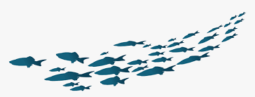 New users enjoy 60% off. Fish Png Simple Logo Simple Fish Png Transparent Png Transparent Png Image Pngitem