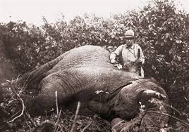 Every thursday we'll discuss everything from where you need to go to hunt various species, how to find an honest hunting outfitter, how to choose the. Big Game Hunting Has A Long And Storied History Pittsburgh Post Gazette