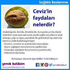 Beslenme Cevizin Faydalari Nelerdir Http Yemekkulubum Com Icerik Sayfa Cevizin Faydalari Nelerdir Beslenme Gida Ascilik