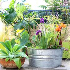 A bird bath can also be positioned under leaves, downspouts, or other features that will naturally drip when it rains, creating an impromptu bird fountain without electricity. Easy Diy Solar Fountain In 1 Hour With Pond Water Plants A Piece Of Rainbow