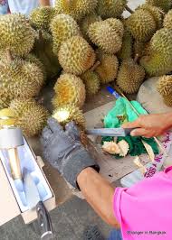 Learn more about the season, see some baby durians, and find out where i'm sourcing durian this early in the music credits belong to: Stranger In Bangkok A Blog About Foreigner Bringing Up His Family In Bangkok The Nicest Durian Vendor In Thailand