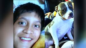 Long Island news: Jogger killed, brothers injured after being hit by  vehicle in Commack, Suffolk County