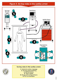 If you survive sudden cardiac arrest, your doctor will try to learn what caused it to help prevent future episodes. Csu Als 6 Key Roles Poster Cardiac Advanced Resuscitation Education
