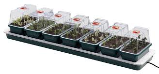 Tomaten brauchen sonne, viel nährstoffe und vor allem einen regensicheren standort. Mini Gewachshaus Kaufen Ratgeber Und Top Produkte 2019 Grunholm