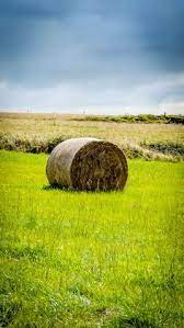 140 Hay Bales Ideas Farm Life Country Life Hay Bales