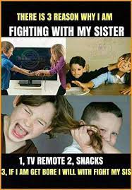 1 funny brother sister quotes. Best Brother And Sister Funny Quotes All Sport Balls