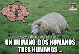 Resultado de imaxes para contar ovejas