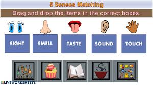 Want to know about five sense organs. Sense Organs Interactive Worksheet