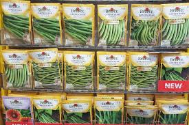 Any unpaid portion not received by the due date will no longer form part of the equal payments plan and interest will accrue on that amount from the day after the date of your. How To Read Seed Packets For Planting Success Gardener S Path