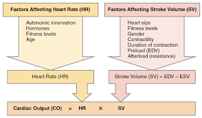 Inpatients with suspected cardiogenic shock and a pulmonary artery catheter in place. Cardiac Output Wikipedia
