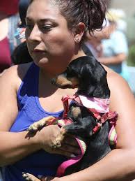 Wienerschnitzel Wiener Nationals Saturday at Cleveland Square