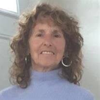 Judith Anne Viola Obituary