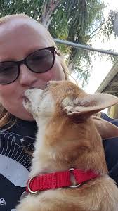 My buddy Dingo! He doesn't like to be picked up by people he doesn't know  well (can you blame him?). I saw him snap at some people for trying. So I  just sat next to him