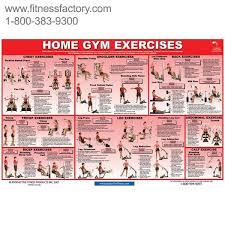 Home Gym Exercises Chart Pfchgl This Poster Features 20 Of