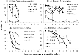 Dealing With Sticktight Fleas In Chickens – Bitchin' Chickens