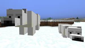 10 Fakten Uber Minecraft Eisbaren Polarbaren Youtube