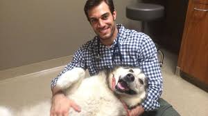 Exotic pets veterinarian near me. Exotic Pet Doctor Near Me Cheap Buy Online
