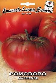 La distancia a colocar entre las distintas plantas que vamos a sembrar es de un promedio de 50 centímetros entre filas y 40 centímetros entre columnas. Tomate Marmande 1239 Italienische Samen
