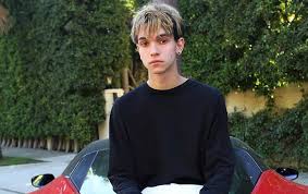 Lucas and marcus were known as vine stars called twinbotz. Lucas Dobre Bio Age Wiki Family Body Stats Net Worth Facts