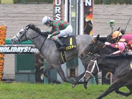 The sekiya kinen was first run in 1966 and has held grade 3 status since 1984. 5wygn 0 Acurkm