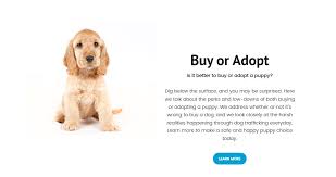 Maybe you would like to learn more about one of these? Dogs Breeders Addjur Global Animal Pet Veterinary Listing