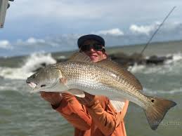 galveston pier fishing where what and when to fish