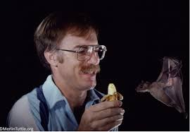 The Batman and the Bridge Builder