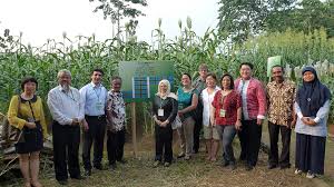 We did not find results for: Three Mutant Varieties Of Sorghum Introduced In Indonesia Hold Promise For Food Security Iaea