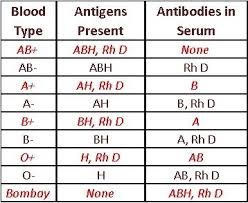 Image Result For Blood Antigens Chart A P Blood Groups