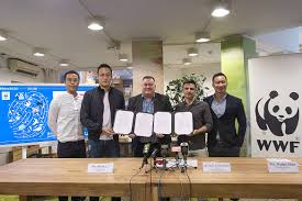Light fixtures such as pendants and chandeliers can instantly brighten up a room. Leading Food Delivery Companies In Hong Kong Team Up With Wwf To Combat Plastic Crisis Wwf Hong Kong