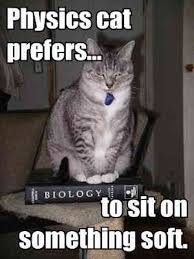 The 42 Best Science Memes On The Internet Physics Humor Science Humor Science Memes