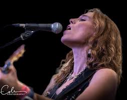 History of the Blues Festival