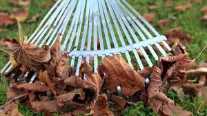 Dazu entfernen sie die oberste bodenschicht und tragen neuen mutterboden auf. Rasen Im Herbst Vor Unkraut Und Moos Schutzen Wohnen