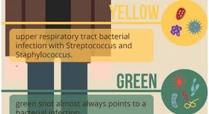 39 proper mucus color and meaning